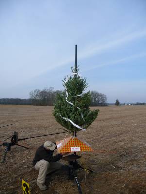 MDRA's annual Christmas Tree launch